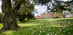 Braxted Park Spring Flowers