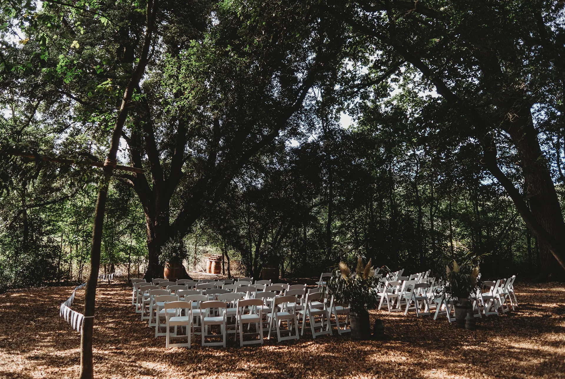 braxted park woodlands ceremony chairs matt wing photo