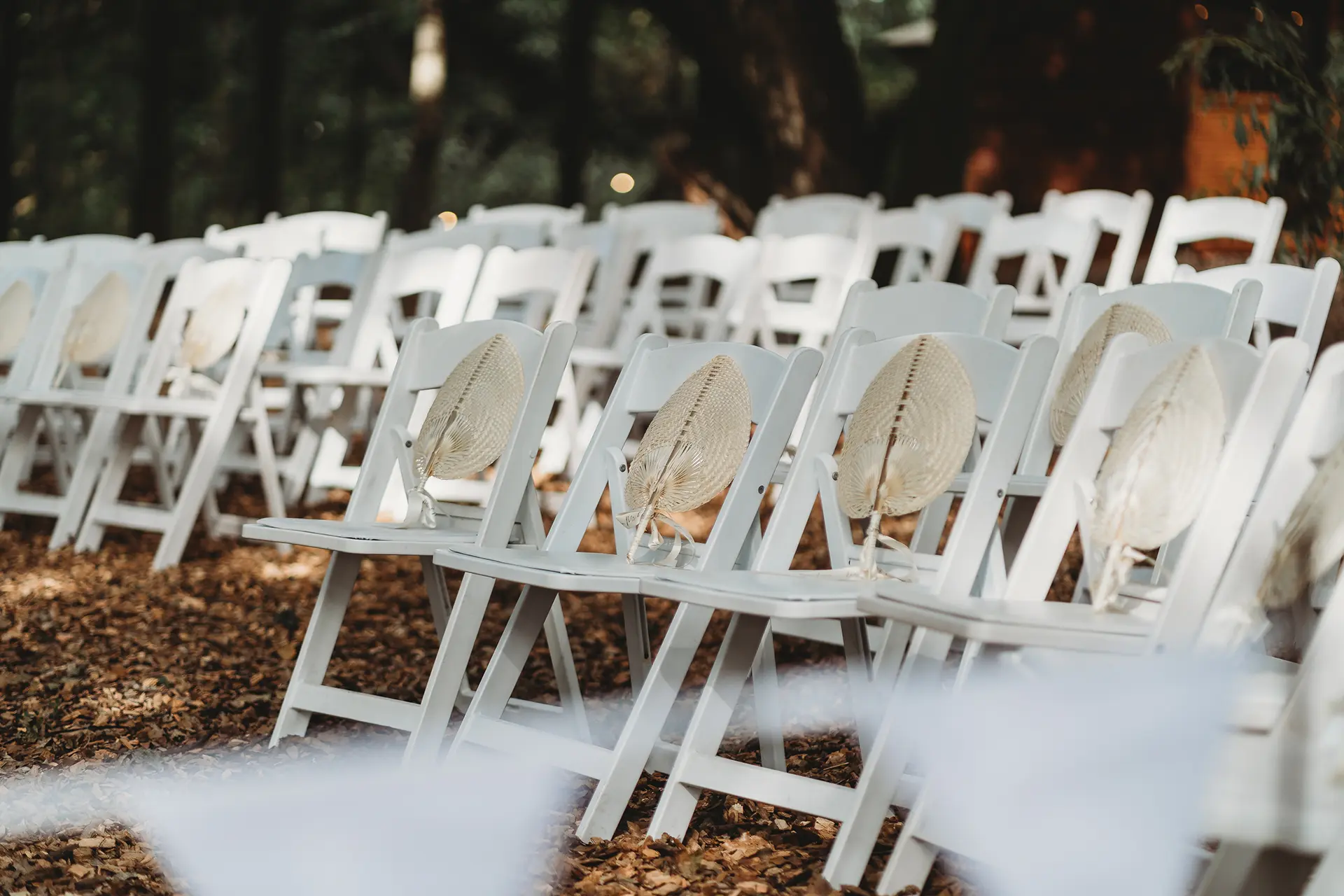 braxted park woodlands ceremony seating matt wing photo